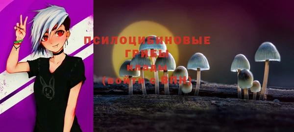 МДМА Богородицк