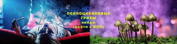 хмурый Богородск