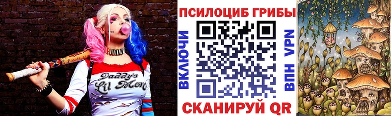 Галлюциногенные грибы Psilocybine cubensis  Купить закладки  Саяногорск 